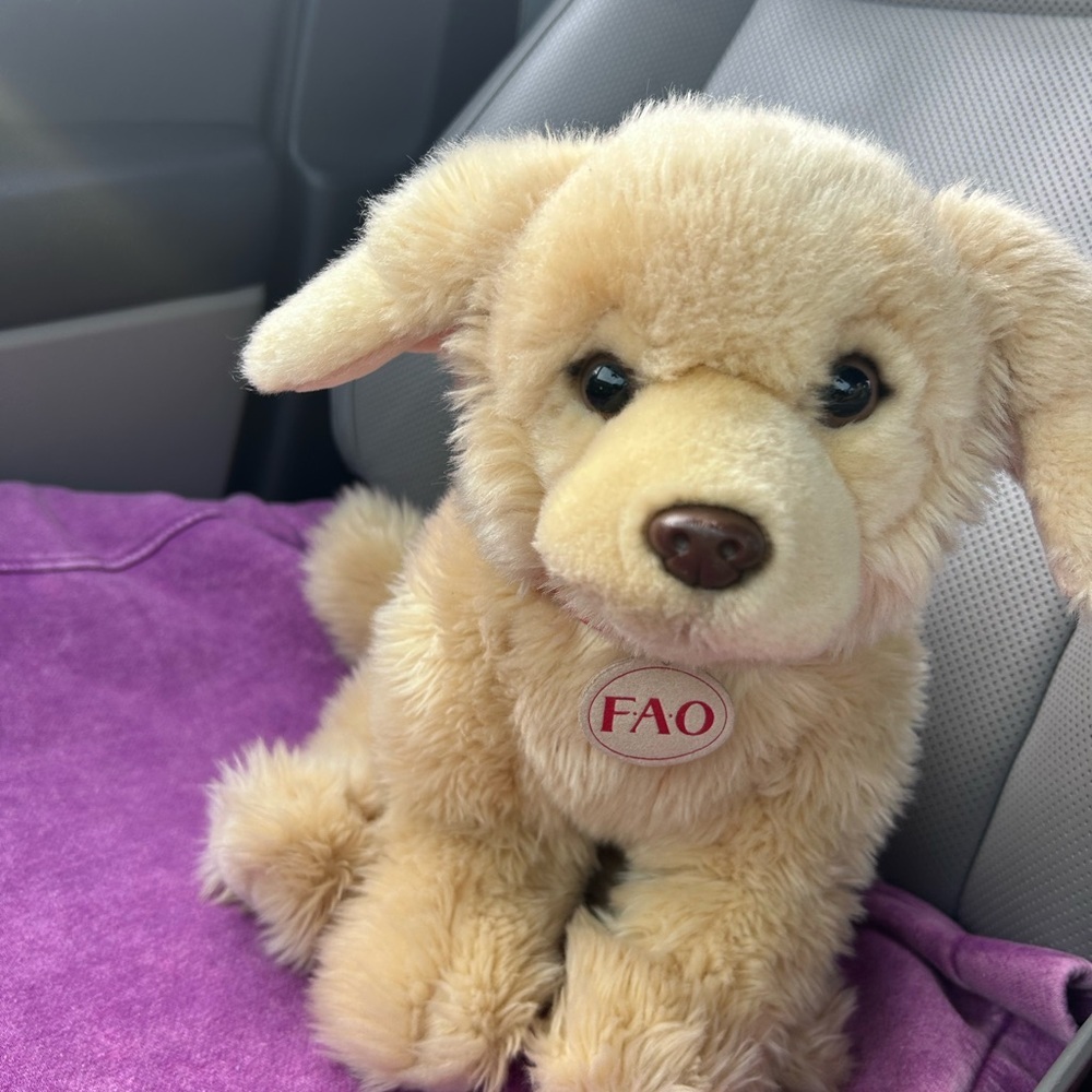FAO Schwarz Plush Cream and Golden Puppy Stuffed Animal